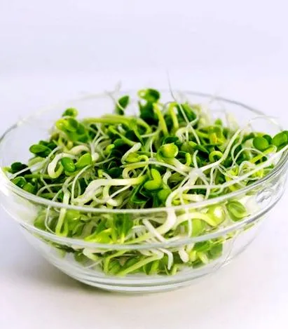 lucernei