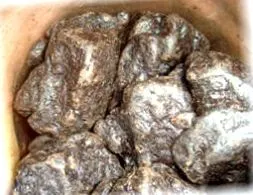 știut