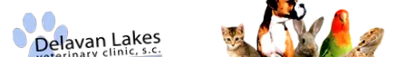причини