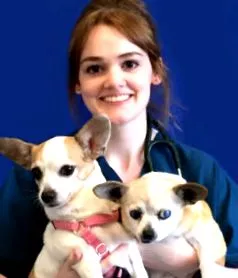 mspca-angell