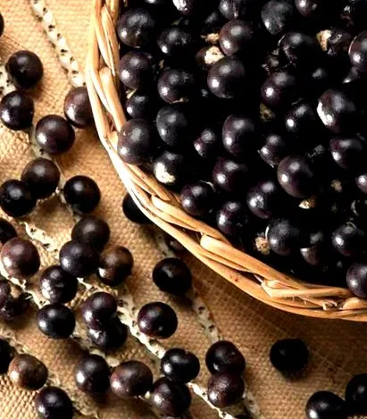 berry acai