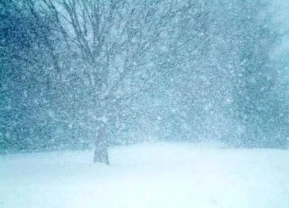 blizzard