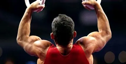 muscle