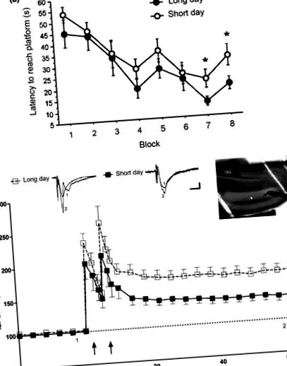 sciencedirect