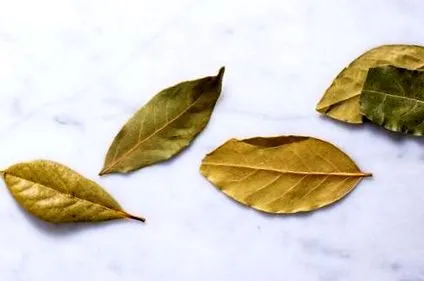 ползи