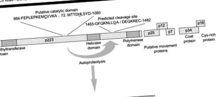 sciencedirect