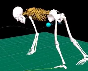 physiopedia