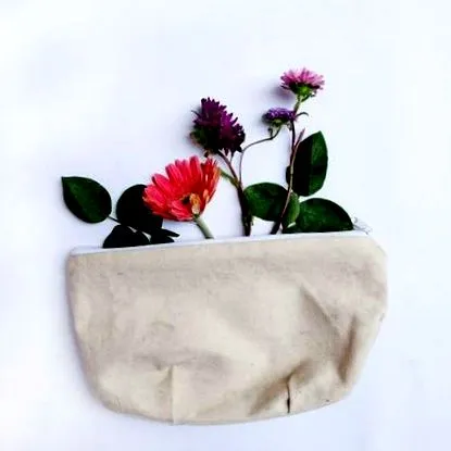 calendula