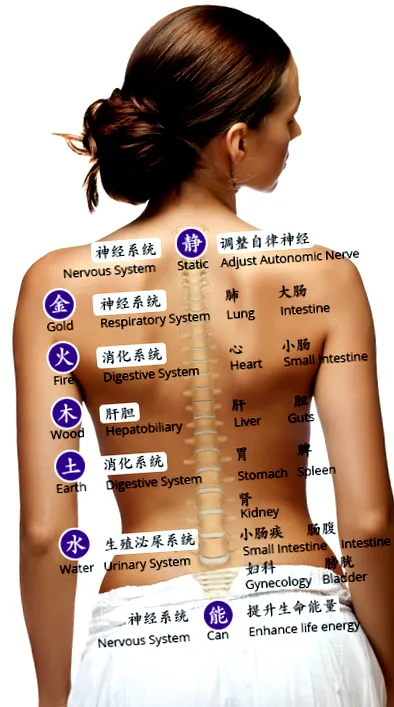 bodyperfect