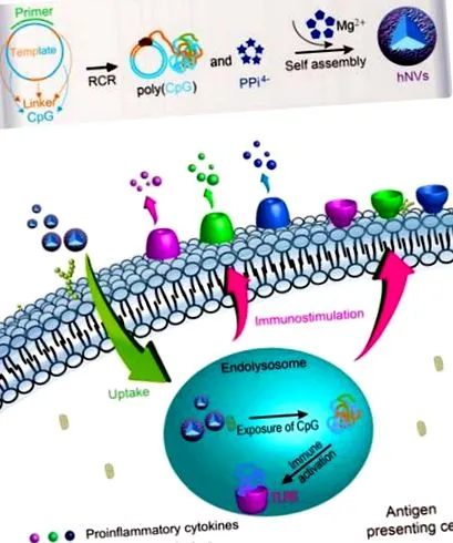 immunterápiára