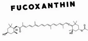 fucoxantinei