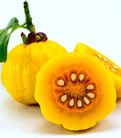 cambogia