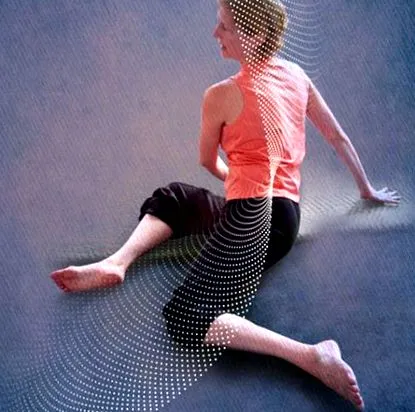 feldenkrais
