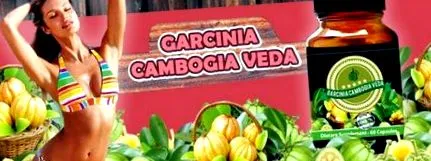 veda
