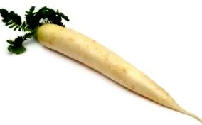 daikon