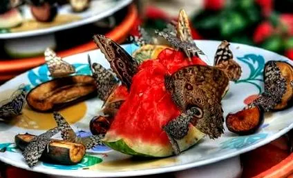 hogyan