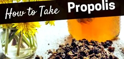propolis