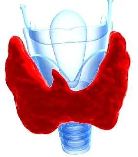 alacsony kalóriatartalmú