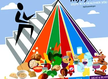 biorhythm