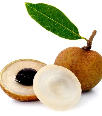 longan здравето