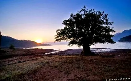éves