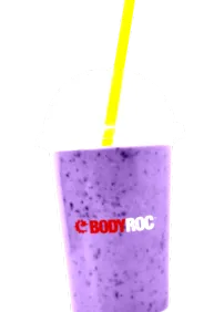 bodyroc diet