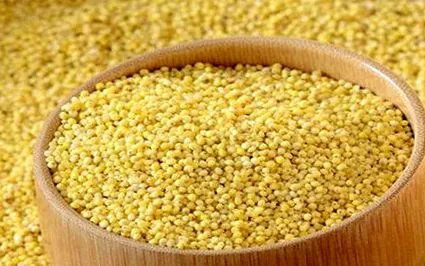foxtail