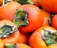 fructe