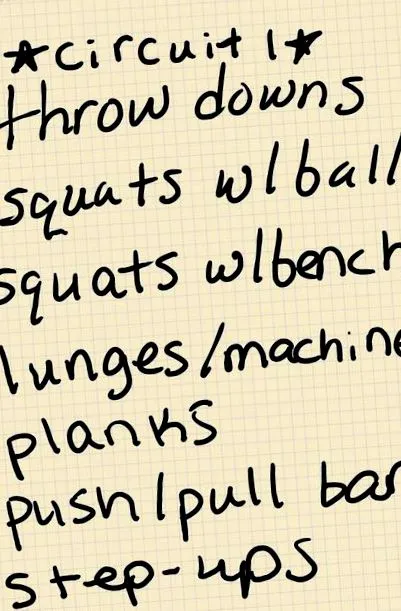 circuit