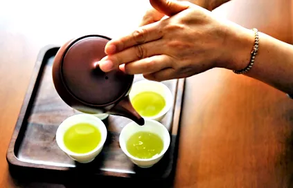 sencha