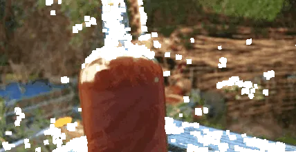 măceșe