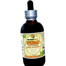spikenard aralia