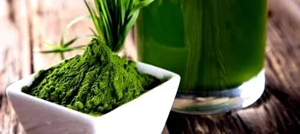 spirulina