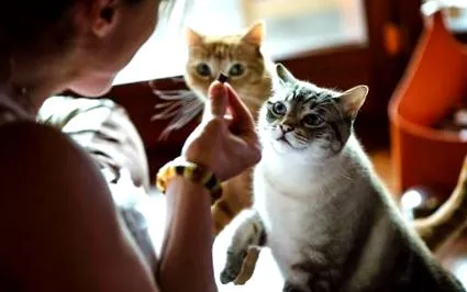 care