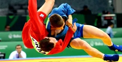 sambo