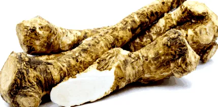 pentru