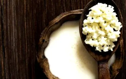 kefir