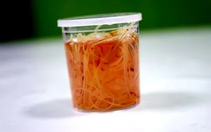 дирофилариозите
