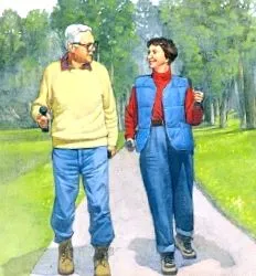 felnőtt