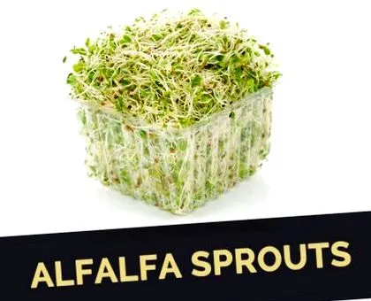 lucernă