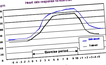 antrenament cardio