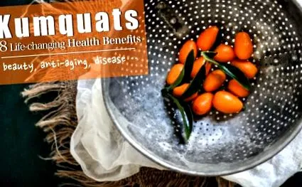 kumquat ползи