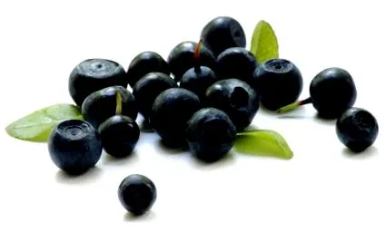 acai health