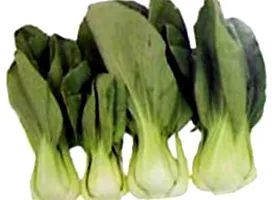 китайско