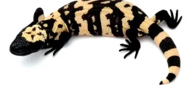 drog