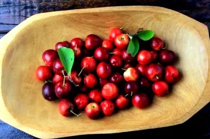 nutrition