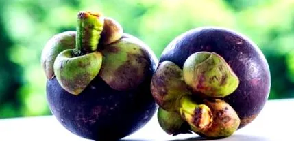 ingredientele