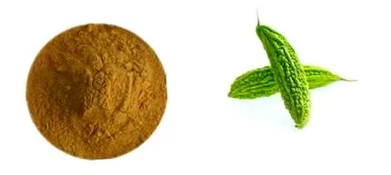 softgel