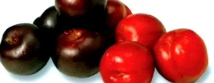 prunele sunt