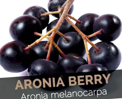 арония berry